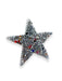 Rhinestone Sparkle Star Iron On Patch