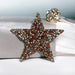 Rhinestone Sparkle Star Iron On Patch