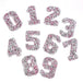 Pink and Silver Rhinestone 5.3cm Iron On Patch Numbers