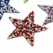 Rhinestone Sparkle Star Iron On Patch